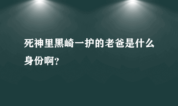 死神里黑崎一护的老爸是什么身份啊？