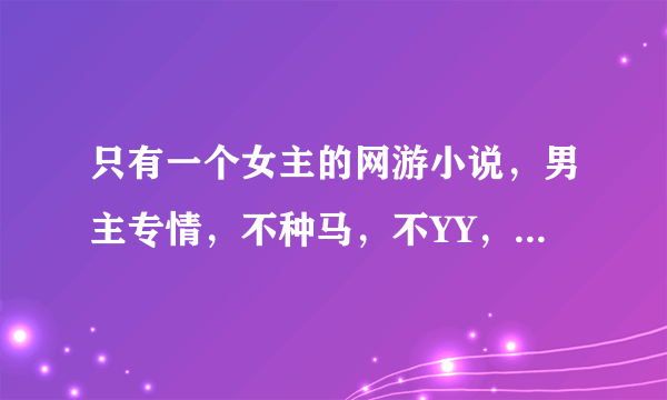 只有一个女主的网游小说，男主专情，不种马，不YY，不乱搞暧昧。