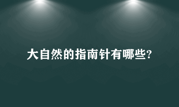 大自然的指南针有哪些?