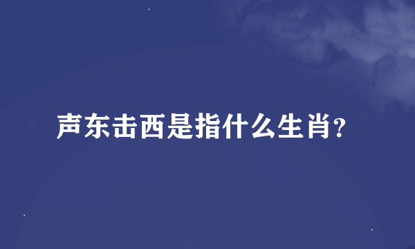 声东击西是指什么生肖？