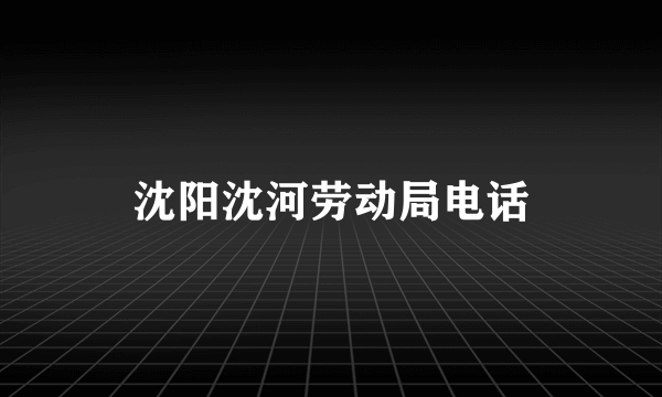 沈阳沈河劳动局电话