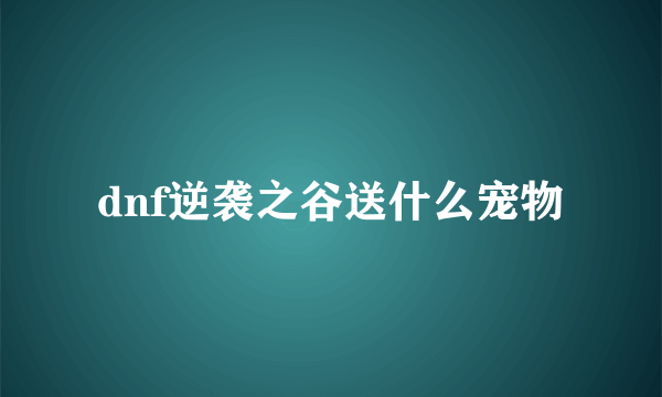 dnf逆袭之谷送什么宠物