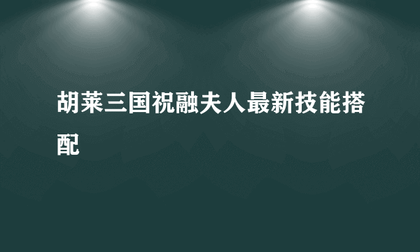 胡莱三国祝融夫人最新技能搭配