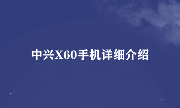 中兴X60手机详细介绍