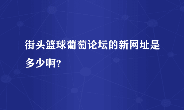 街头篮球葡萄论坛的新网址是多少啊？