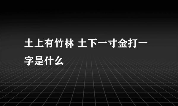 土上有竹林 土下一寸金打一字是什么