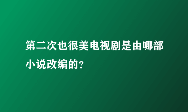 第二次也很美电视剧是由哪部小说改编的？