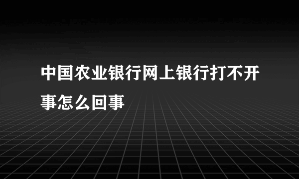 中国农业银行网上银行打不开事怎么回事