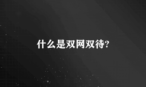 什么是双网双待?