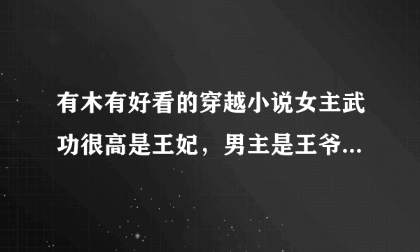 有木有好看的穿越小说女主武功很高是王妃，男主是王爷（对皇位没兴趣),两人喜欢斗嘴，结局喜，一对一，