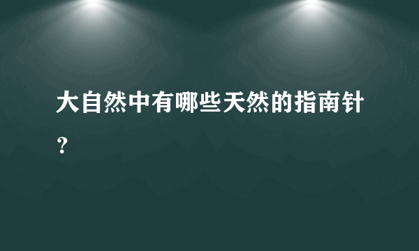 大自然中有哪些天然的指南针？