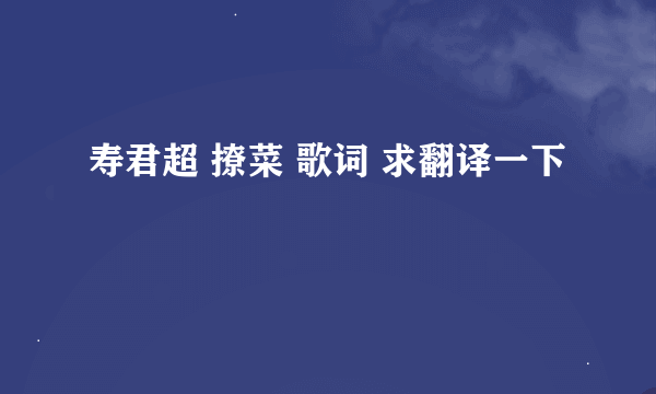 寿君超 撩菜 歌词 求翻译一下