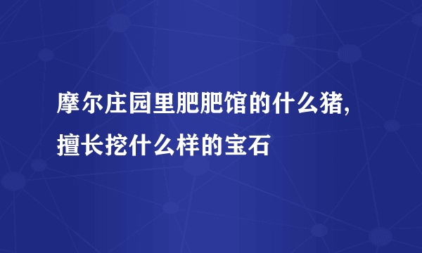 摩尔庄园里肥肥馆的什么猪,擅长挖什么样的宝石