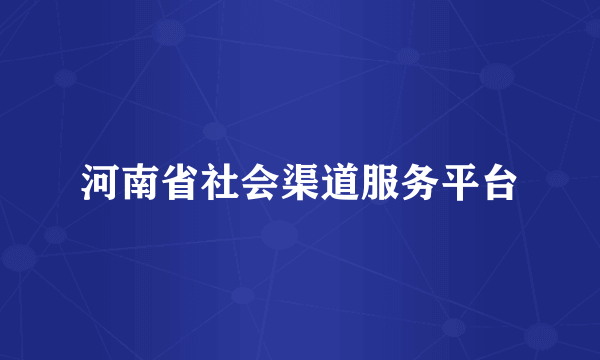 河南省社会渠道服务平台