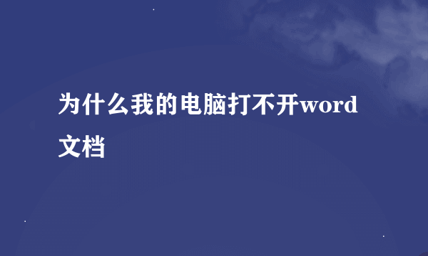 为什么我的电脑打不开word文档