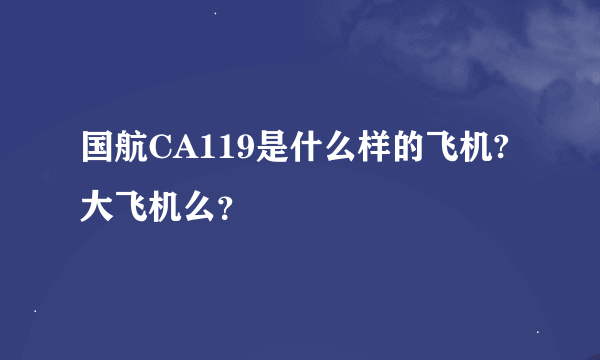 国航CA119是什么样的飞机?大飞机么？