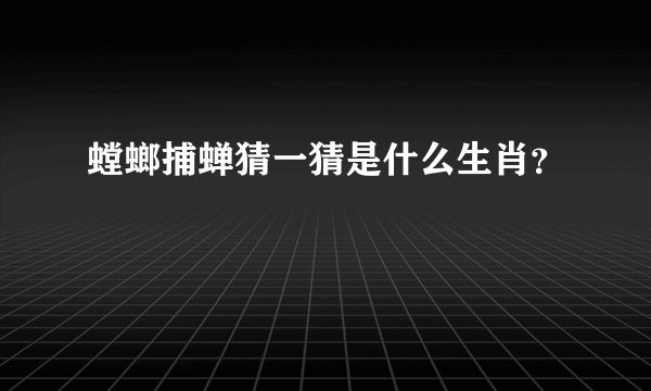 螳螂捕蝉猜一猜是什么生肖？