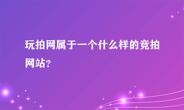 玩拍网属于一个什么样的竞拍网站？