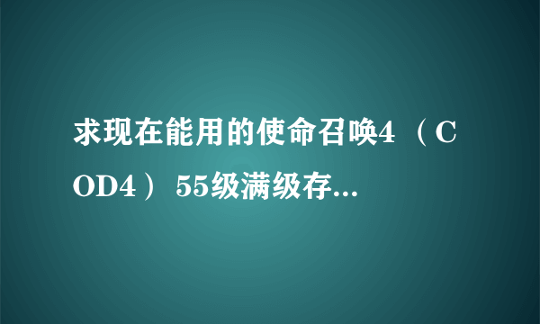 求现在能用的使命召唤4 （COD4） 55级满级存档和使用方法