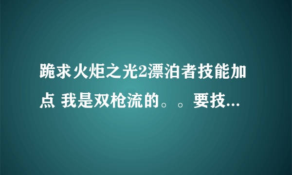 跪求火炬之光2漂泊者技能加点 我是双枪流的。。要技能的。。