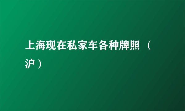 上海现在私家车各种牌照 （沪）