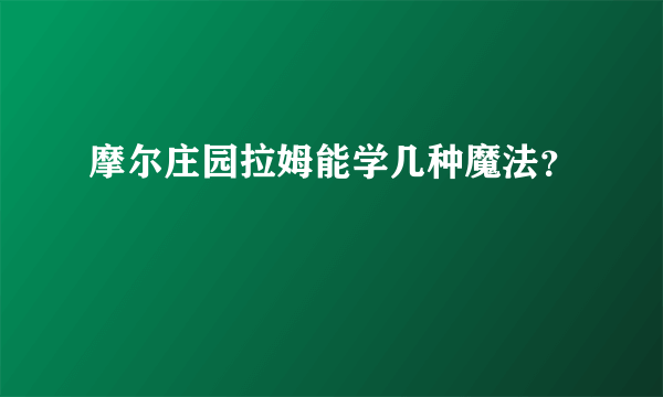 摩尔庄园拉姆能学几种魔法？