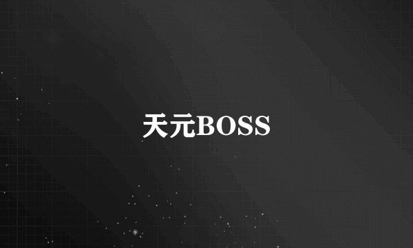 天元BOSS