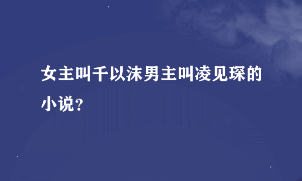 女主叫千以沫男主叫凌见琛的小说？