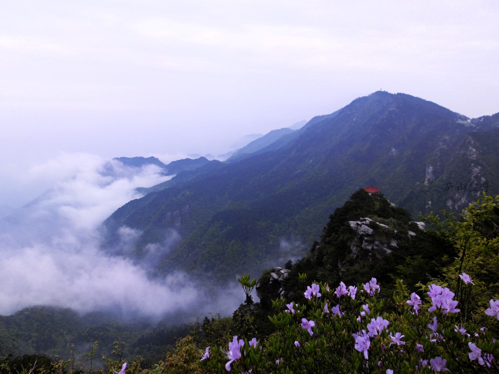 庐山门票多少钱