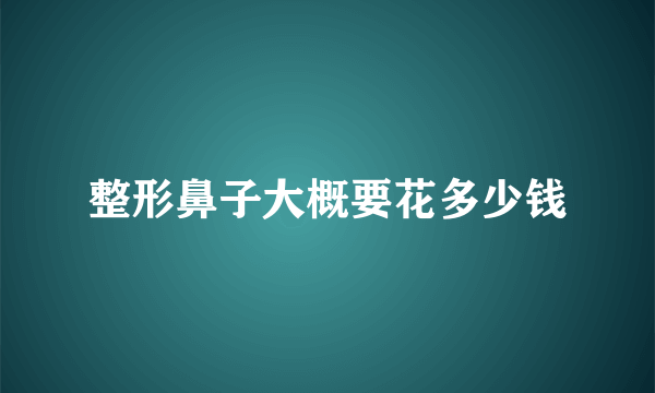 整形鼻子大概要花多少钱