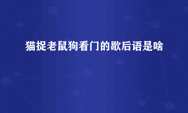 猫捉老鼠狗看门的歇后语是啥