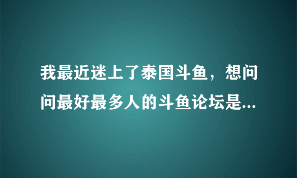 我最近迷上了泰国斗鱼，想问问最好最多人的斗鱼论坛是哪个？很难找到斗鱼的论坛呢...