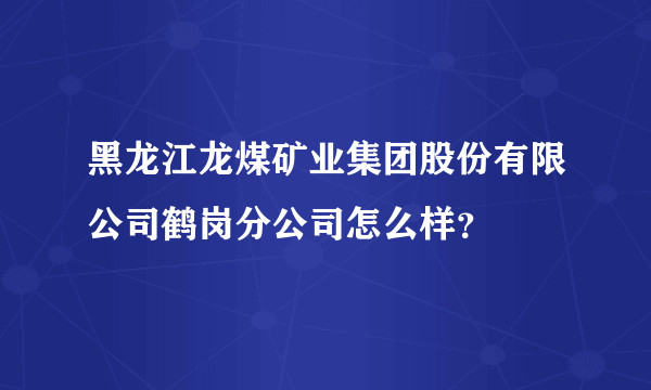 黑龙江龙煤矿业集团股份有限公司鹤岗分公司怎么样？