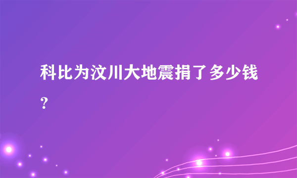 科比为汶川大地震捐了多少钱？