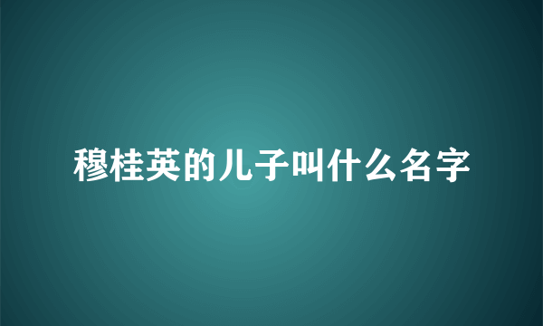 穆桂英的儿子叫什么名字