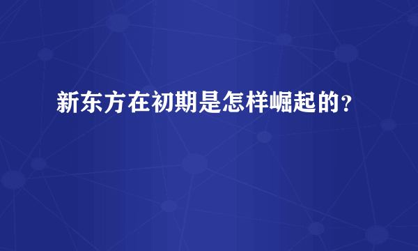 新东方在初期是怎样崛起的？