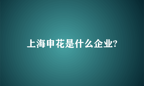 上海申花是什么企业?