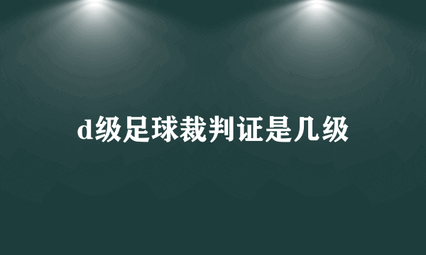 d级足球裁判证是几级