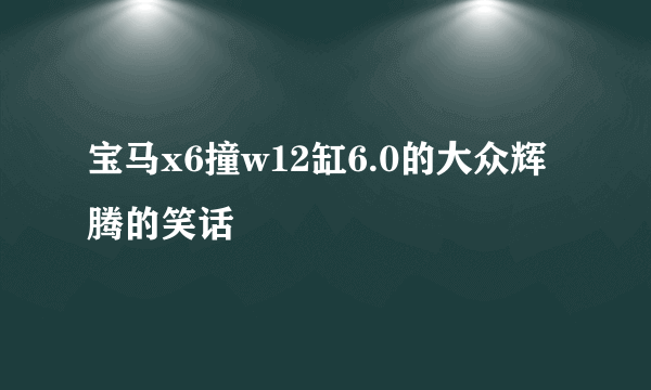 宝马x6撞w12缸6.0的大众辉腾的笑话