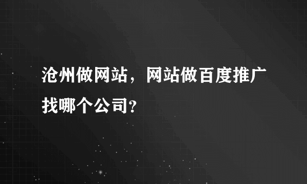 沧州做网站，网站做百度推广找哪个公司？