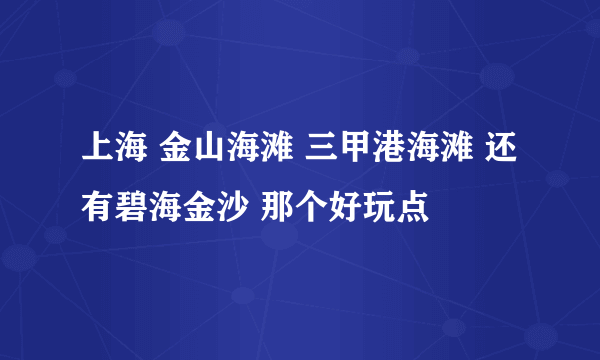 上海 金山海滩 三甲港海滩 还有碧海金沙 那个好玩点