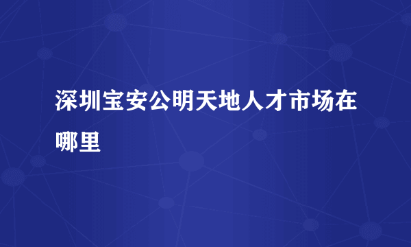 深圳宝安公明天地人才市场在哪里