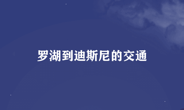 罗湖到迪斯尼的交通