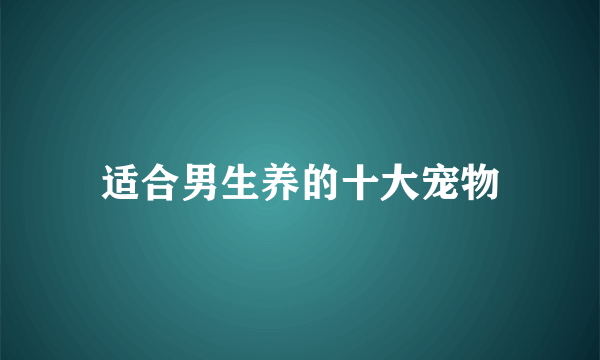 适合男生养的十大宠物