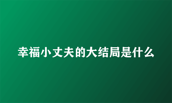 幸福小丈夫的大结局是什么