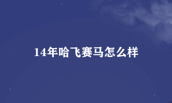 14年哈飞赛马怎么样