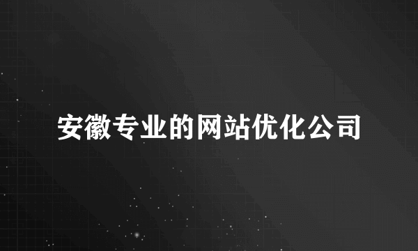 安徽专业的网站优化公司