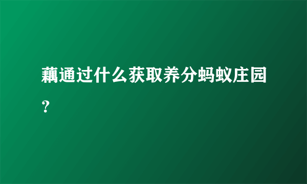 藕通过什么获取养分蚂蚁庄园？