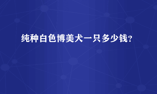 纯种白色博美犬一只多少钱？