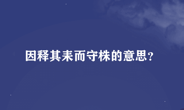 因释其耒而守株的意思？